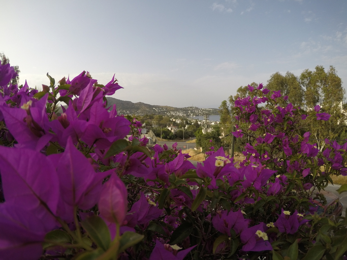 Exterior & Views 2, Panorama Hotel Bodrum, Bodrum