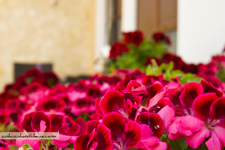 Others 3, Esthisis suites & maisonettes, Crete