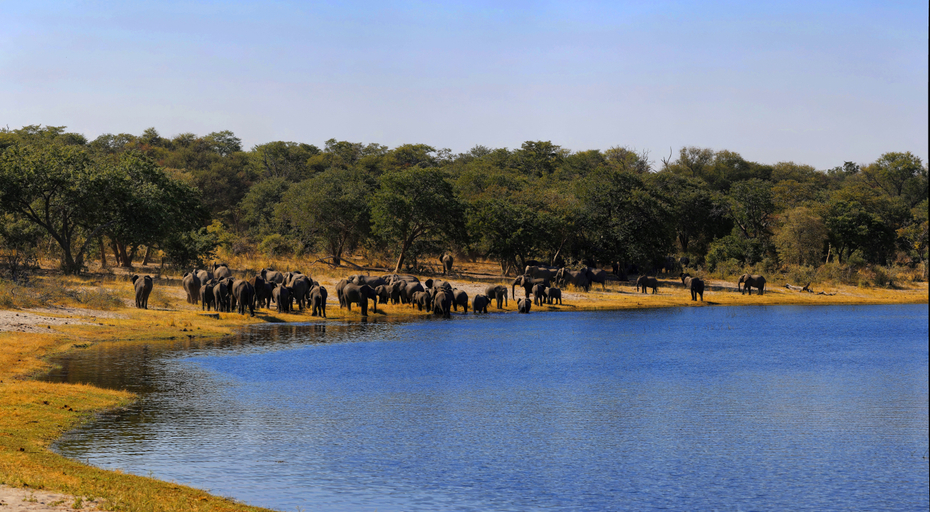 Exterior & Views 2, Namushasha River Lodge, Kongola