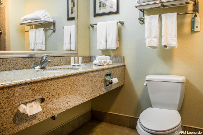Bathroom 4, Comfort Suites Near Gettysburg Battlefield Visitor, Adams