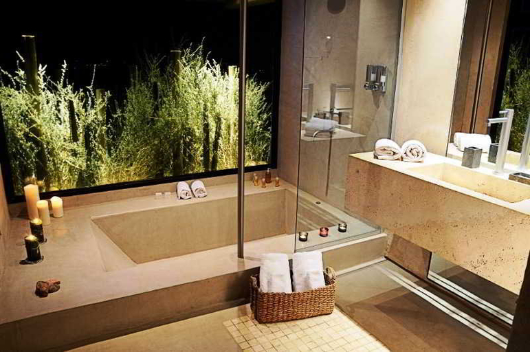 Bathroom, Alpasion Lodge, Tunuyán