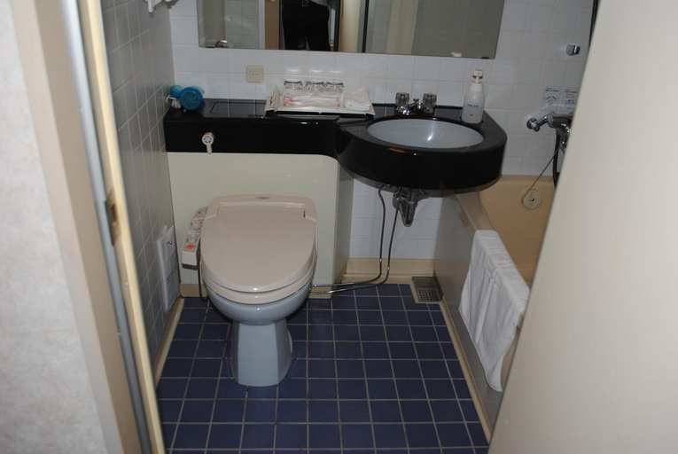Bathroom 5, Otaru Asari Classe Hotel, Otaru