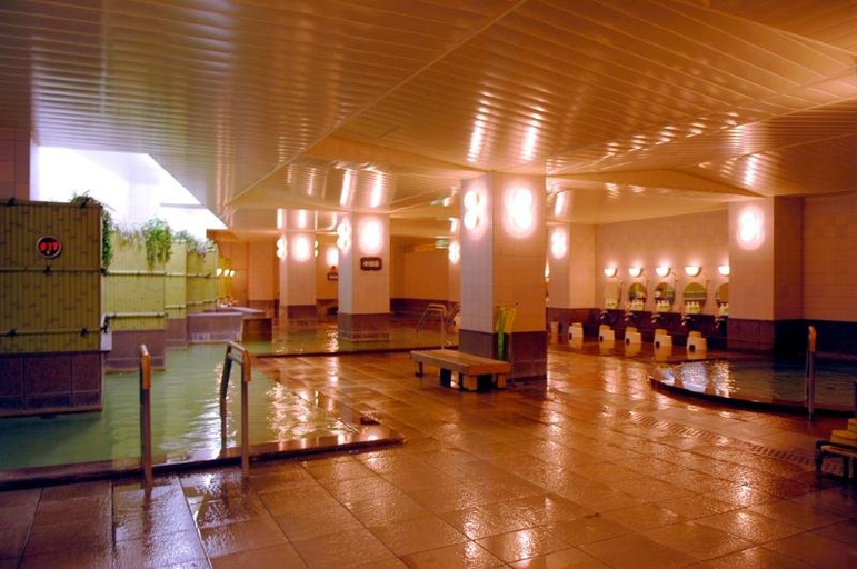 Public Area 3, Sounkyo Kanko Hotel, Kamikawa