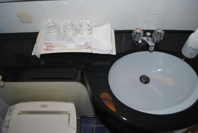 Bathroom 5, Otaru Asari Classe Hotel, Otaru