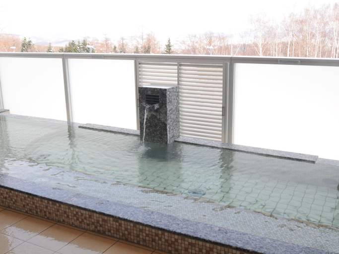 Public Area 4, New Furano Princehotel, Furano