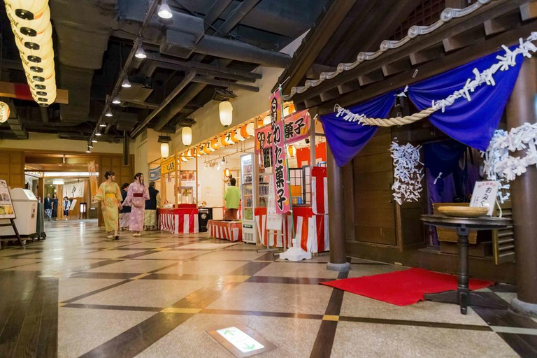 Public Area 4, Hotel Mori no Kaze Oshuku, Shizukuishi