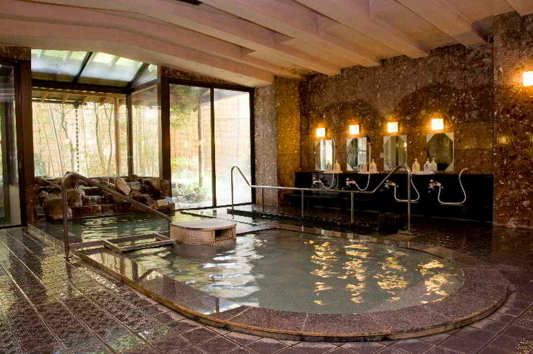 Public Area 2, Hotel Koryu, Fujikawaguchiko