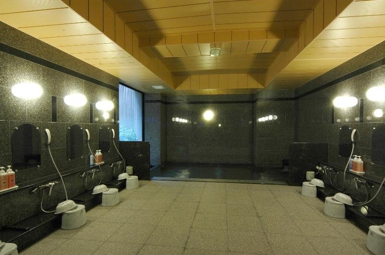 Public Area 2, Hotel Route - Inn Kushiro Ekimae, Kushiro City