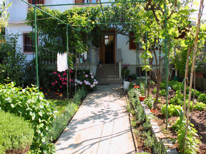 Public Area, Ante, Biograd na Moru