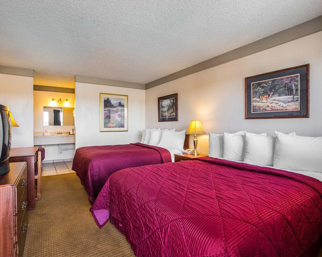 Bedroom 5, Value Lodge Inn, Delta