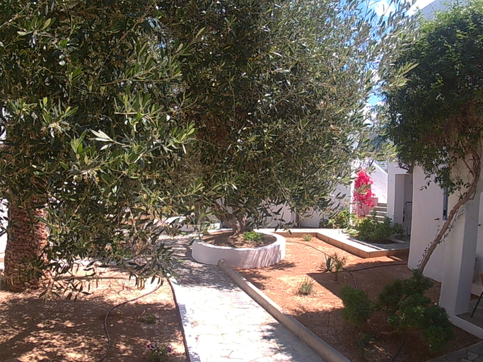 Exterior & Views 2, Palatia Village, Crete