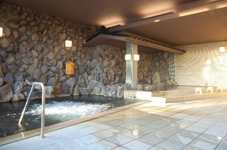 Public Area 2, Ryokan Biyunoyado, Yamanouchi