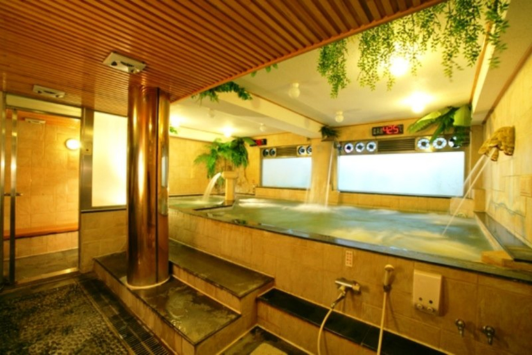 Bathroom 5, Baron's Hot-Spring, Yilan