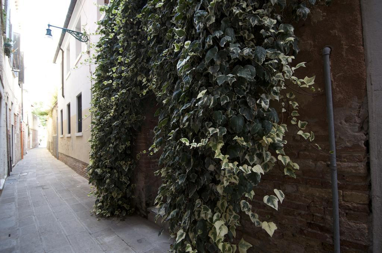 Public Area 3, Hotel Acca, Venezia