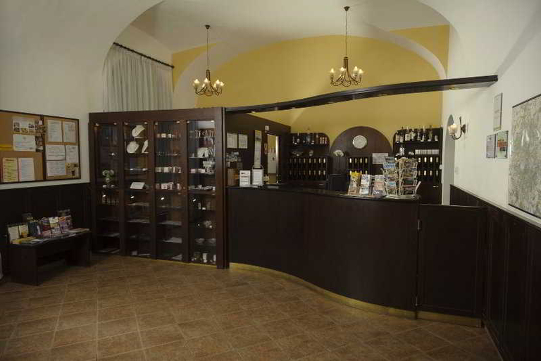 Public Area 2, Hotel Petr, Praha 6
