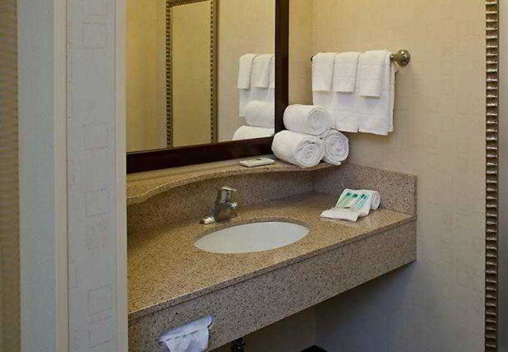 Bathroom 4, SpringHill Suites New Bern, Craven