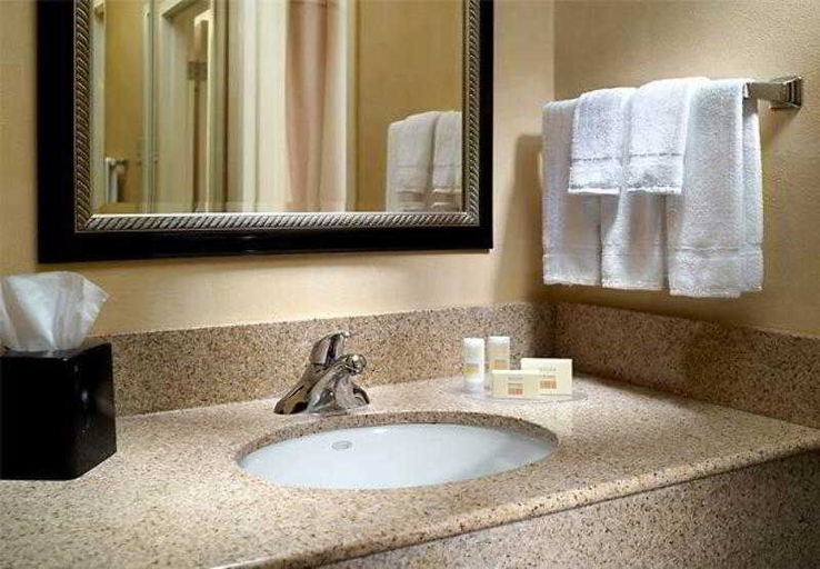 Bathroom 5, Courtyard by Marriott Nashville Airport, Davidson