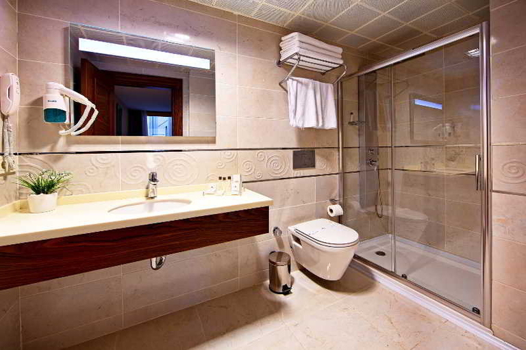 Bathroom, Eurostars Hotel, Fatih
