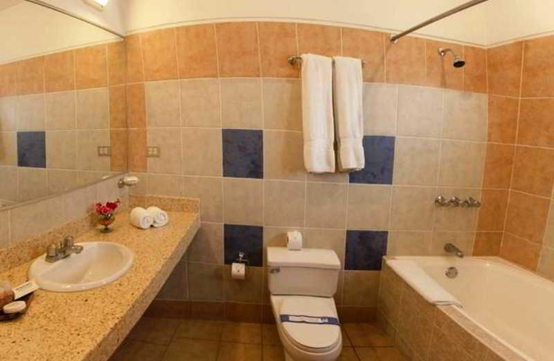 Bathroom 5, Nazca Lines, Nazca