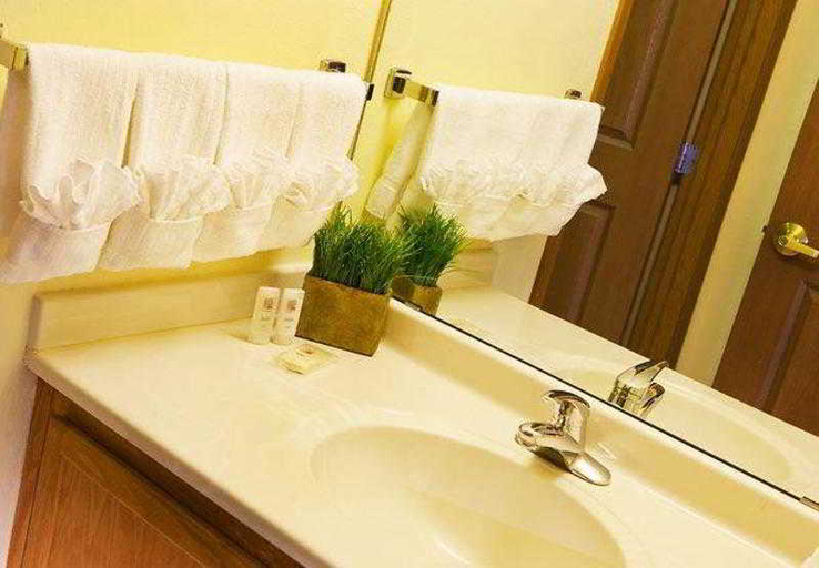 Bathroom 4, TownePlace Suites Milwaukee Brookfield, Waukesha