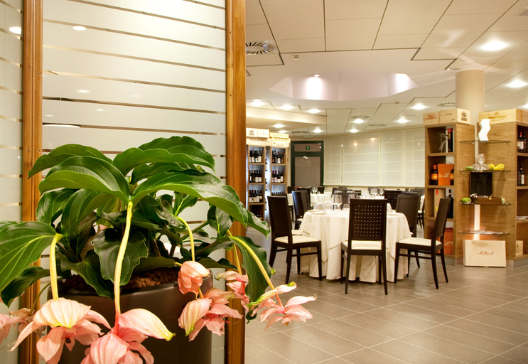 Public Area, Hotel San Luigi, Torino