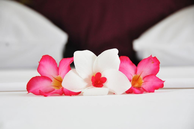 Sport & Beauty 1, Manta Bungalows, Lombok