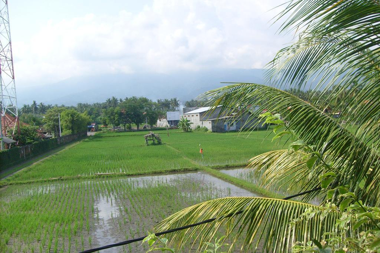 Exterior & Views 4, Villa Agung Beach Inn, Buleleng