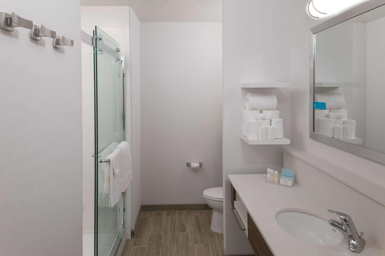 Bathroom 4, Hampton Inn & Suites Asheville Biltmore Village, Buncombe