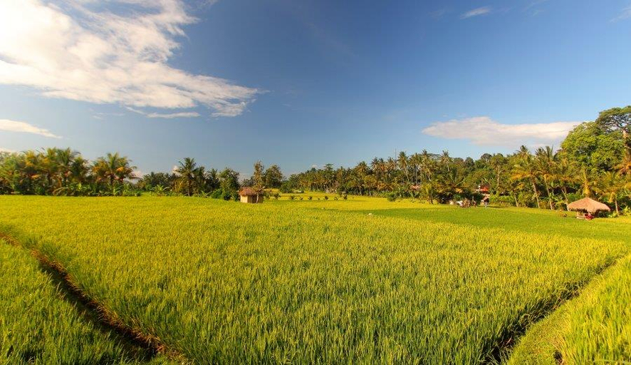 Exterior & Views 5, MATHIS Retreat Ubud, Gianyar