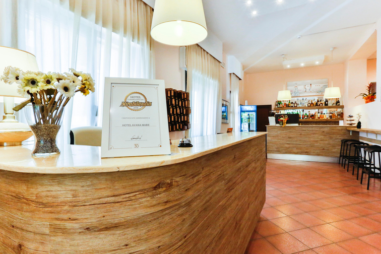 Public Area 2, Hotel Avana Mare, Rimini