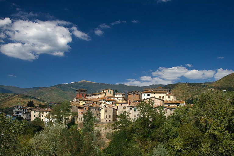 Exterior & Views 2, Dimora Casa Eugenia, Arezzo