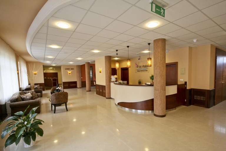 Public Area 2, Vis Vitalis Hotel, Gödöllő