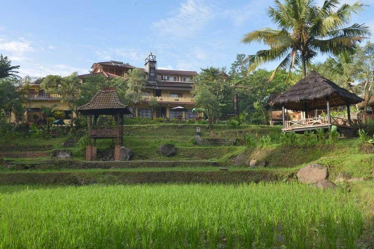 Exterior & Views 5, Paddy City Resort Malang, Malang