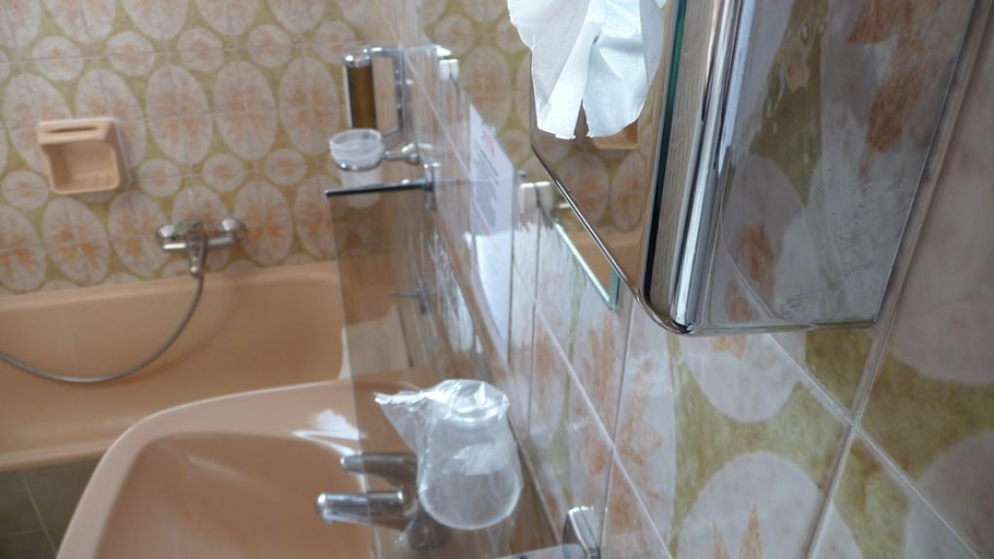 Bathroom 4, Hotel Restaurant Brasilia, Alpes-Maritimes