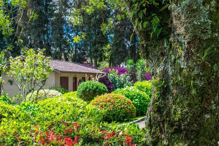 Exterior & Views 5, Hotel Fioreze Quero Quero, Gramado
