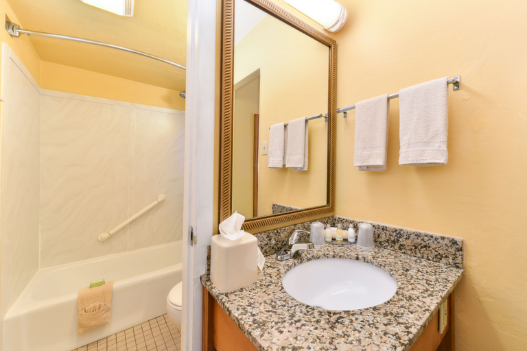 Bathroom 5, Best Western Durango Inn & Suites, La Plata