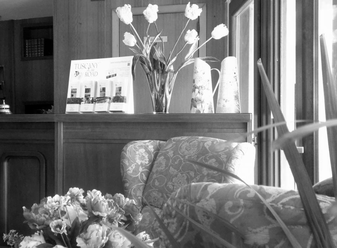 Public Area 2, Hotel Panoramic Montepulciano, Siena