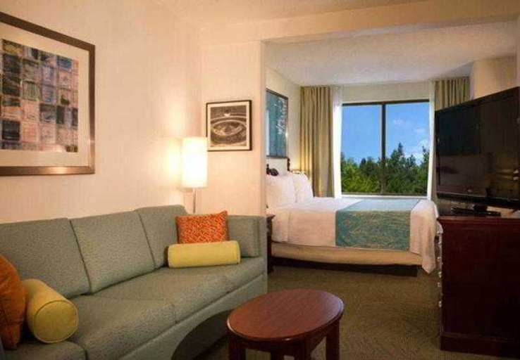 Public Area 5, Springhill Suites By Marriott Atlanta Buford/Mall , Gwinnett