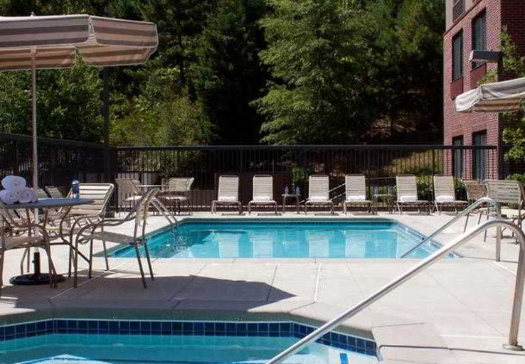 Sport & Beauty 3, Springhill Suites By Marriott Atlanta Buford/Mall , Gwinnett