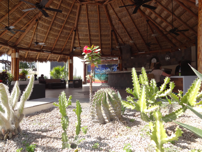 Public Area 4, Park Royal Homestay Los Cabos, La Paz
