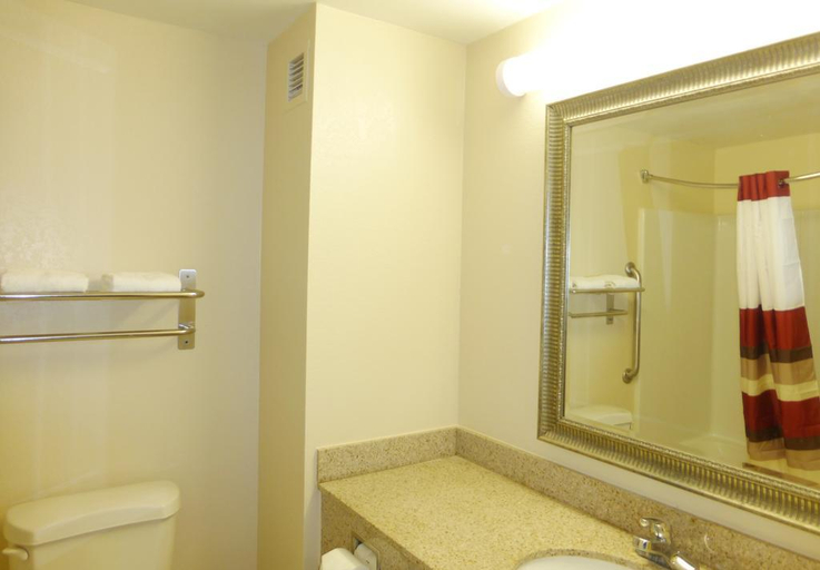 Bathroom, Red Roof Inn & Suites Newnan, Coweta