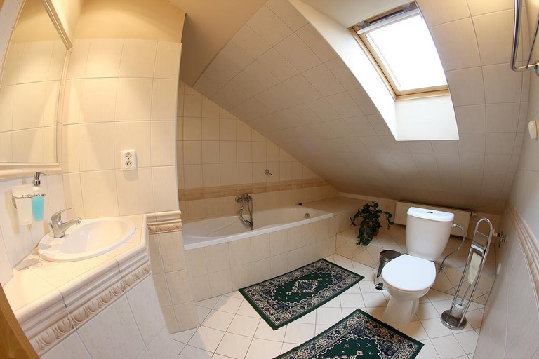 Bathroom 5, Mahleruv Penzion Na Hradbách, Jihlava