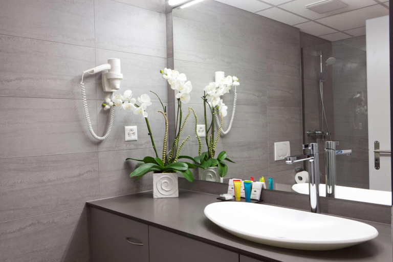 Bathroom 5, Hôtel Rallye & Entrées aux Bains de la Gruyère, La Gruyère