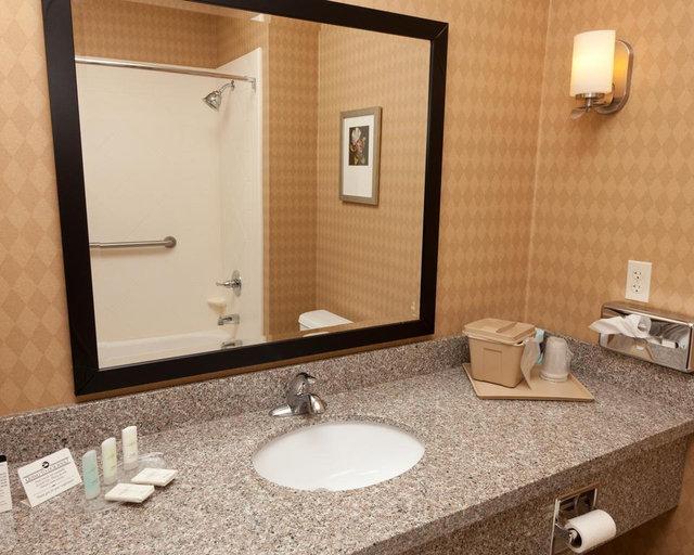 Bathroom 4, Comfort Suites Pecos, Reeves