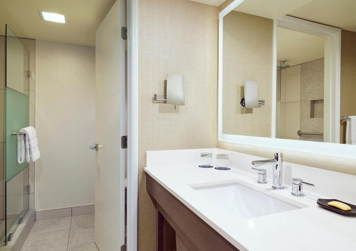 Bathroom 4, Sheraton Tucson Hotel & Suites, Pima