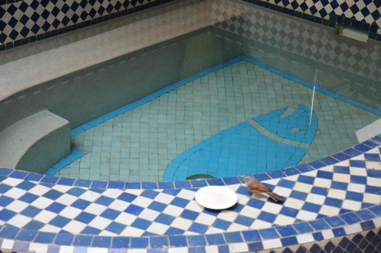 Sport & Beauty 2, Riad Lauriers Blancs, Marrakech