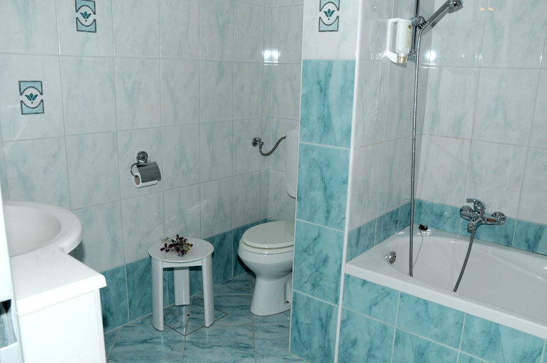 Bathroom 3, Tripic, Bohinj