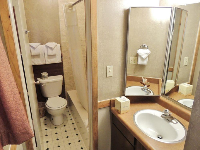 Bathroom 4, Pony Express Motel, Teton