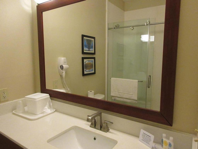 Bathroom 4, Sonesta Essential Hotels Baton Rouge Airport, East Baton Rouge