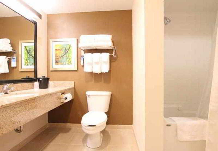Bathroom 5, Fairfield Inn & Suites by Marriott Lombard, Dupage